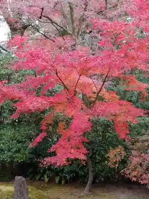 建仁寺（建仁禅寺）(京都府)