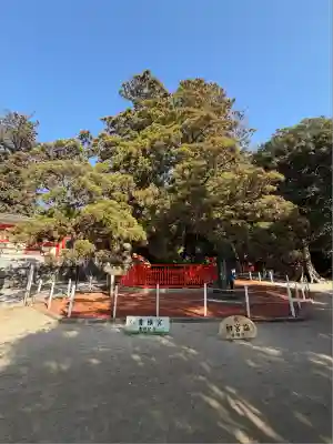 香椎宮(福岡県)