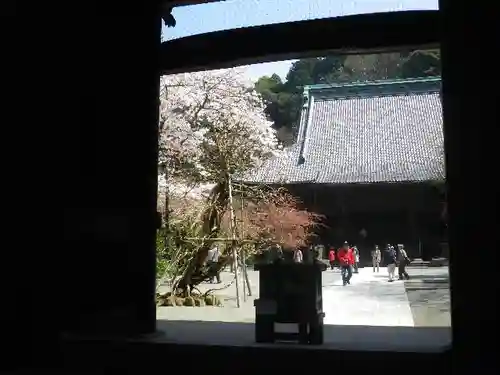 妙本寺の山門