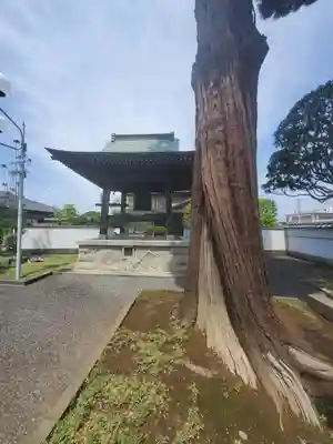 神光寺(群馬県)