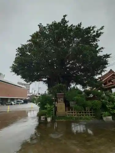 慈眼院(沖縄県)