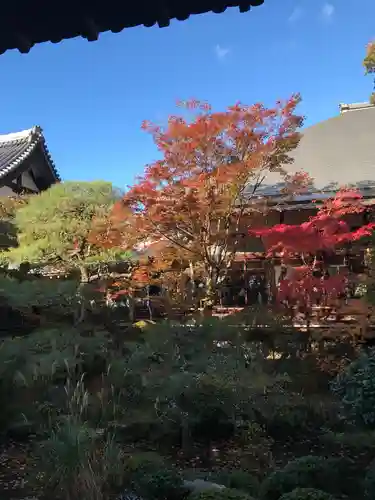 禅林寺（永観堂）の自然