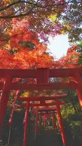 岐阜稲荷山本社の鳥居