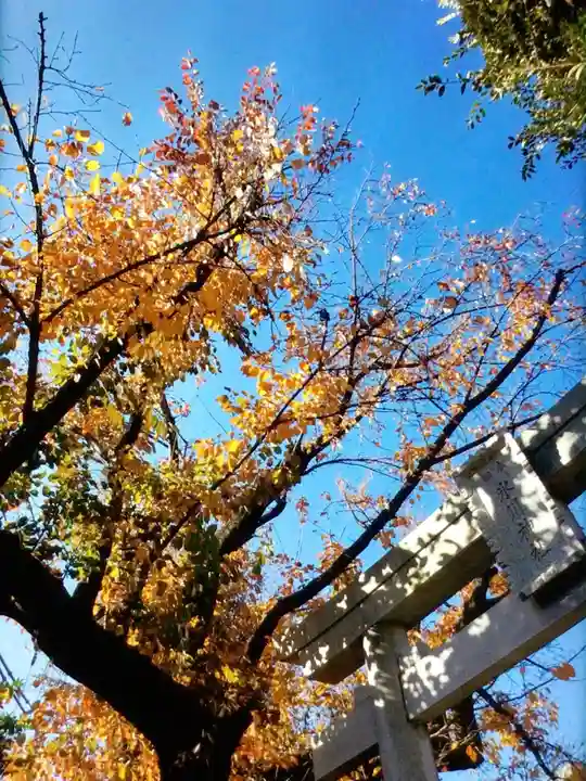 本郷氷川神社(東京都)