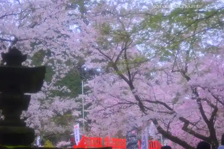 金櫻神社(山梨県)