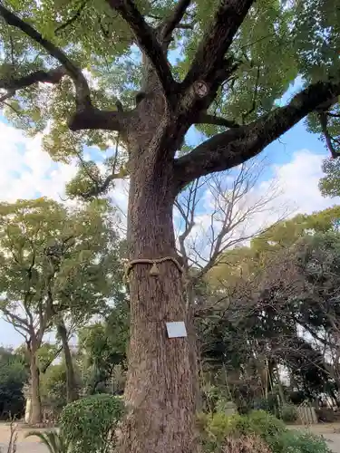 東天神社の自然