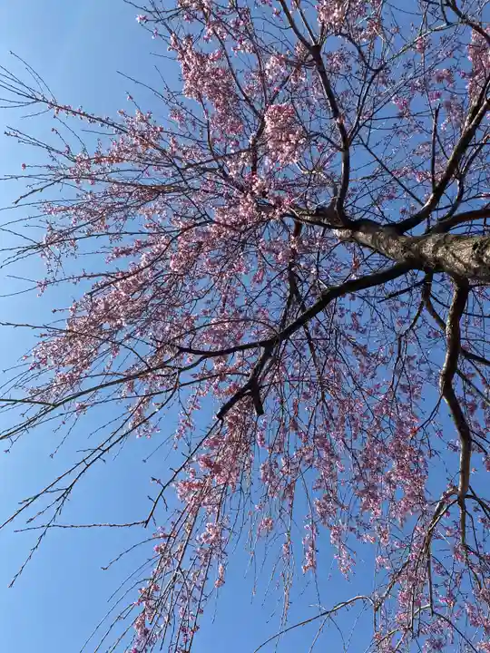 大鏑神社の自然