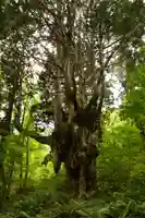 白島神社(島根県)