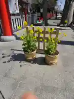 川越八幡宮の{uncategorized: "未分類", other: "その他", undefined: "問題あり", building: "その他建物", grave: "お墓", sacred_gate: "鳥居", guardian: "狛犬", statue: "像", buddha: "仏像", history: "歴史", nature: "自然", garden: "庭園", animal: "動物", pagoda: "塔", temizu: "手水舎", mountain_gate: "山門・神門", sanctuary: "本殿・本堂", subordinate: "末社・摂社", art: "芸術", scenery: "景色", jizo: "地蔵", ema: "絵馬", goshuin: "御朱印", omikuji: "おみくじ", items: "授与品その他", amulet: "お守り", goshuincho: "御朱印帳", eats: "食事", festival: "お祭り", votive_dance: "神楽", shichigosan: "七五三参", wedding: "結婚式", experience: "体験その他", initially: "初詣", around: "周辺", anti_infection: "感染症対策"}