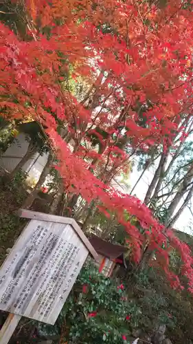 出雲大神宮の庭園