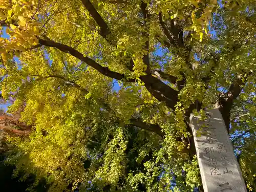 三佛寺(神奈川県)
