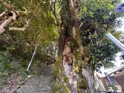久流比神社(兵庫県)
