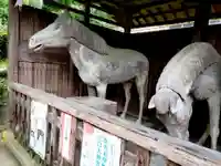 山口大神宮(山口県)