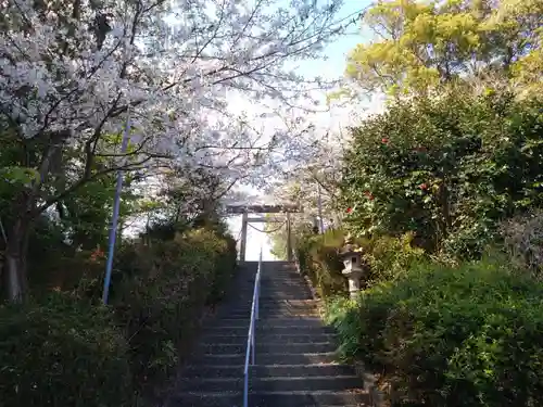 天伯山神社(愛知県)
