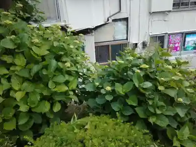 善了寺(神奈川県)