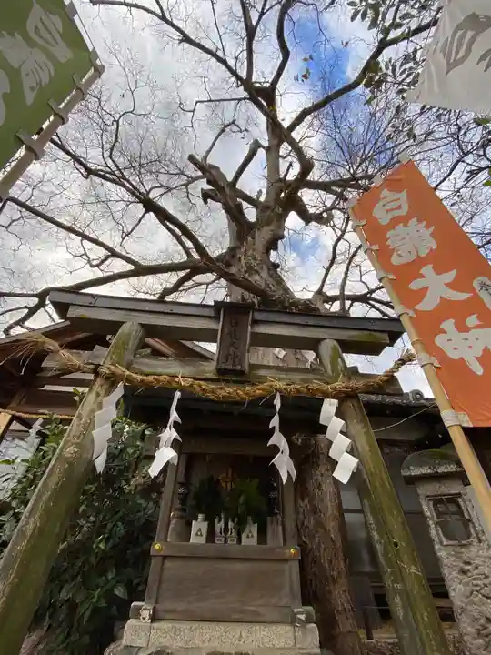 齋宮神社の末社・摂社