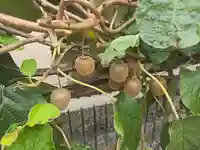 西教寺(大阪府)