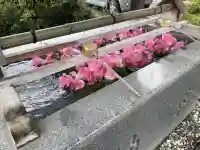 豊景神社の手水舎