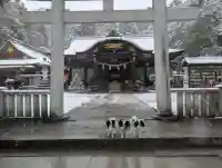 武田神社の{uncategorized: "未分類", other: "その他", undefined: "問題あり", building: "その他建物", grave: "お墓", sacred_gate: "鳥居", guardian: "狛犬", statue: "像", buddha: "仏像", history: "歴史", nature: "自然", garden: "庭園", animal: "動物", pagoda: "塔", temizu: "手水舎", mountain_gate: "山門・神門", sanctuary: "本殿・本堂", subordinate: "末社・摂社", art: "芸術", scenery: "景色", jizo: "地蔵", ema: "絵馬", goshuin: "御朱印", omikuji: "おみくじ", items: "授与品その他", amulet: "お守り", goshuincho: "御朱印帳", eats: "食事", festival: "お祭り", votive_dance: "神楽", shichigosan: "七五三参", wedding: "結婚式", experience: "体験その他", initially: "初詣", around: "周辺", anti_infection: "感染症対策"}