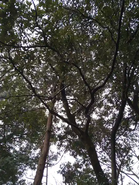 日本唯一香辛料の神 波自加彌神社(石川県)