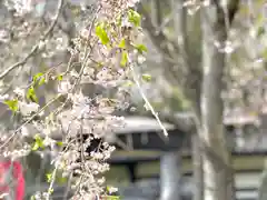 北赤井神社の自然