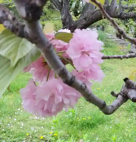 刺田比古神社(和歌山県)