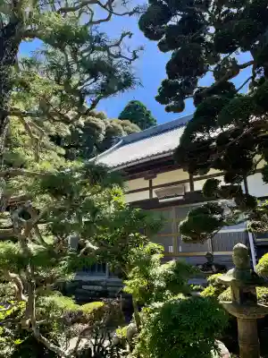 安楽寺の{uncategorized: "未分類", other: "その他", undefined: "問題あり", building: "その他建物", grave: "お墓", sacred_gate: "鳥居", guardian: "狛犬", statue: "像", buddha: "仏像", history: "歴史", nature: "自然", garden: "庭園", animal: "動物", pagoda: "塔", temizu: "手水舎", mountain_gate: "山門・神門", sanctuary: "本殿・本堂", subordinate: "末社・摂社", art: "芸術", scenery: "景色", jizo: "地蔵", ema: "絵馬", goshuin: "御朱印", omikuji: "おみくじ", items: "授与品その他", amulet: "お守り", goshuincho: "御朱印帳", eats: "食事", festival: "お祭り", votive_dance: "神楽", shichigosan: "七五三参", wedding: "結婚式", experience: "体験その他", initially: "初詣", around: "周辺", anti_infection: "感染症対策"}