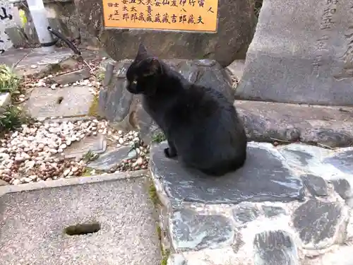 王子神社の動物