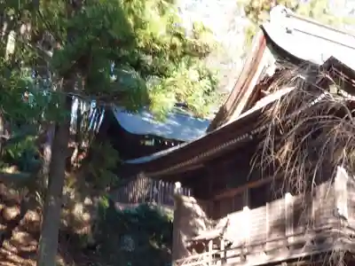 玉依比売命神社の本殿・本堂