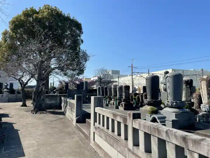 蓮光寺の{uncategorized: "未分類", other: "その他", undefined: "問題あり", building: "その他建物", grave: "お墓", sacred_gate: "鳥居", guardian: "狛犬", statue: "像", buddha: "仏像", history: "歴史", nature: "自然", garden: "庭園", animal: "動物", pagoda: "塔", temizu: "手水舎", mountain_gate: "山門・神門", sanctuary: "本殿・本堂", subordinate: "末社・摂社", art: "芸術", scenery: "景色", jizo: "地蔵", ema: "絵馬", goshuin: "御朱印", omikuji: "おみくじ", items: "授与品その他", amulet: "お守り", goshuincho: "御朱印帳", eats: "食事", festival: "お祭り", votive_dance: "神楽", shichigosan: "七五三参", wedding: "結婚式", experience: "体験その他", initially: "初詣", around: "周辺", anti_infection: "感染症対策"}