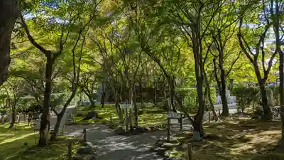 化野念仏寺(京都府)