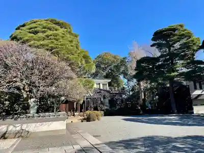 金藏院(東京都)