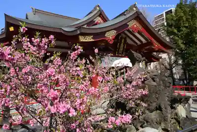 素盞雄神社(東京都)
