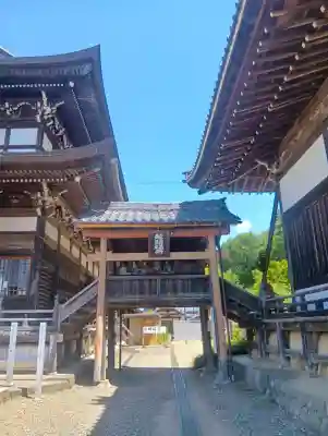 関善光寺の{uncategorized: "未分類", other: "その他", undefined: "問題あり", building: "その他建物", grave: "お墓", sacred_gate: "鳥居", guardian: "狛犬", statue: "像", buddha: "仏像", history: "歴史", nature: "自然", garden: "庭園", animal: "動物", pagoda: "塔", temizu: "手水舎", mountain_gate: "山門・神門", sanctuary: "本殿・本堂", subordinate: "末社・摂社", art: "芸術", scenery: "景色", jizo: "地蔵", ema: "絵馬", goshuin: "御朱印", omikuji: "おみくじ", items: "授与品その他", amulet: "お守り", goshuincho: "御朱印帳", eats: "食事", festival: "お祭り", votive_dance: "神楽", shichigosan: "七五三参", wedding: "結婚式", experience: "体験その他", initially: "初詣", around: "周辺", anti_infection: "感染症対策"}
