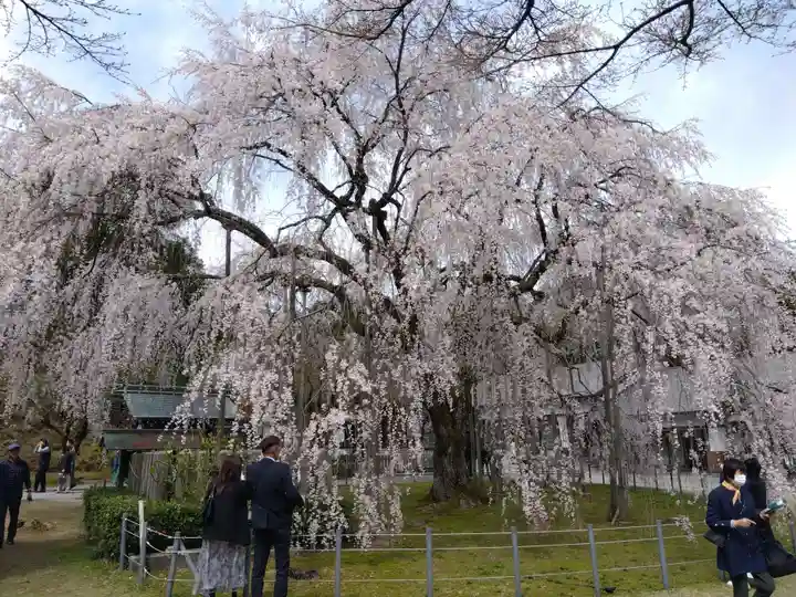足羽神社(福井県)