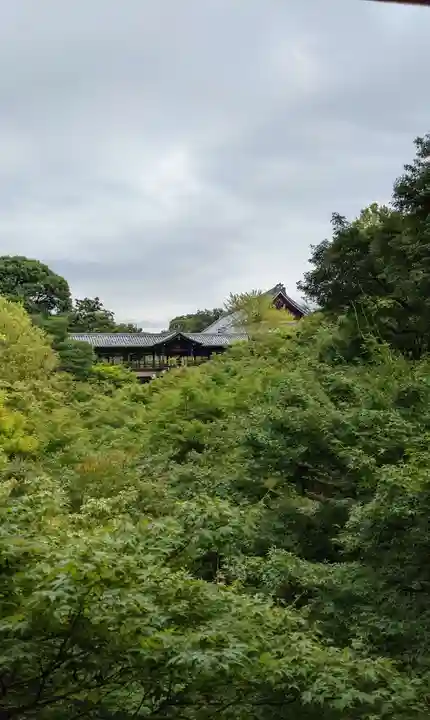 東福禅寺(東福寺)(京都府)