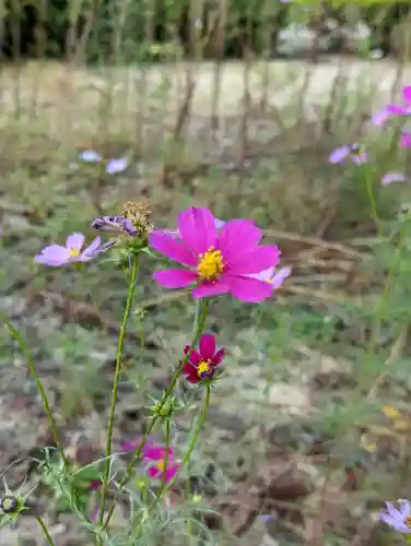 報恩寺(京都府)