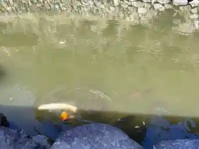 妙義神社(群馬県)