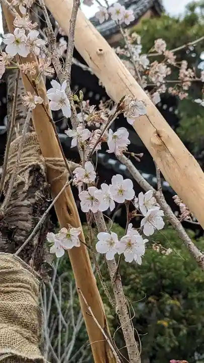 満願寺(京都府)