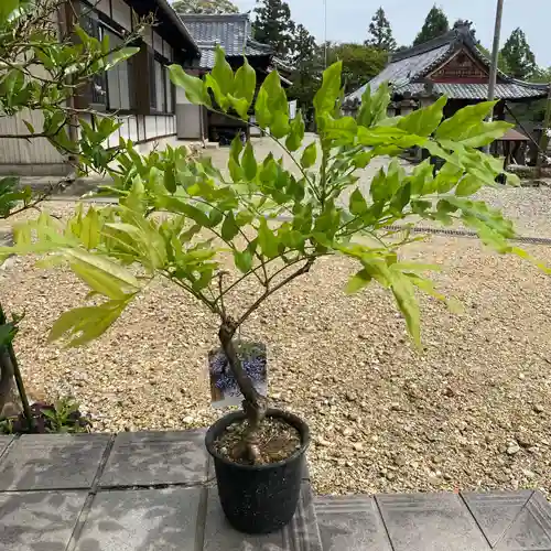 加佐美神社(岐阜県)
