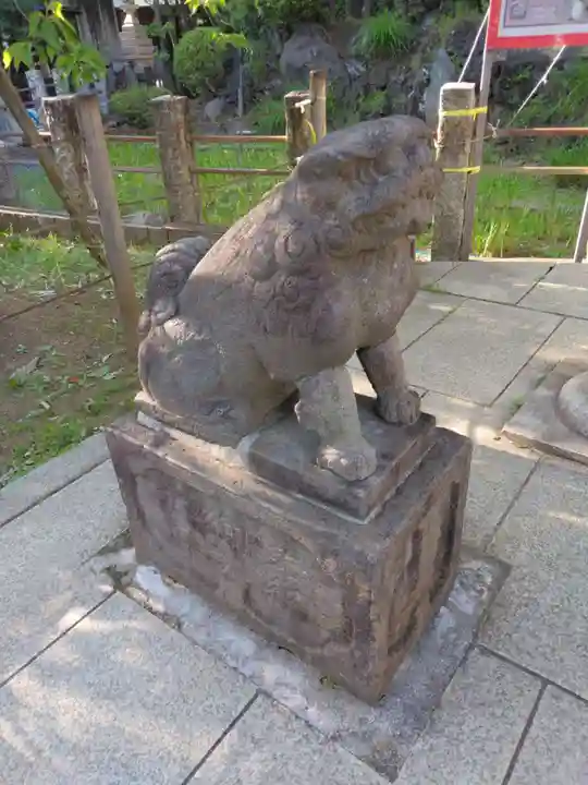 鳩森八幡神社の狛犬