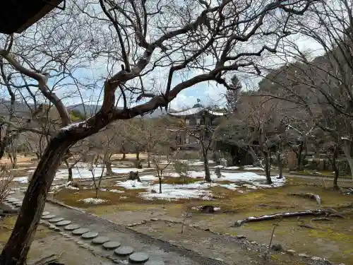 勧修寺の{uncategorized: "未分類", other: "その他", undefined: "問題あり", building: "その他建物", grave: "お墓", sacred_gate: "鳥居", guardian: "狛犬", statue: "像", buddha: "仏像", history: "歴史", nature: "自然", garden: "庭園", animal: "動物", pagoda: "塔", temizu: "手水舎", mountain_gate: "山門・神門", sanctuary: "本殿・本堂", subordinate: "末社・摂社", art: "芸術", scenery: "景色", jizo: "地蔵", ema: "絵馬", goshuin: "御朱印", omikuji: "おみくじ", items: "授与品その他", amulet: "お守り", goshuincho: "御朱印帳", eats: "食事", festival: "お祭り", votive_dance: "神楽", shichigosan: "七五三参", wedding: "結婚式", experience: "体験その他", initially: "初詣", around: "周辺", anti_infection: "感染症対策"}