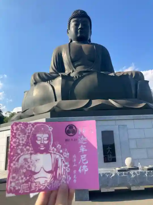 寳光寺 鹿野大佛(東京都)