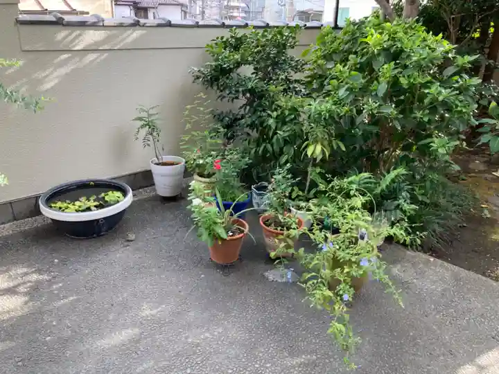 真成院(東京都)