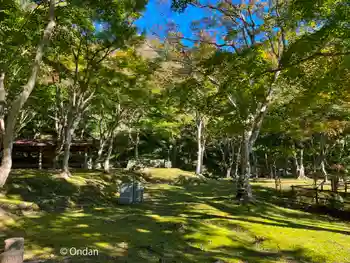 笠置寺の御朱印 2024年11月