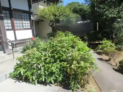悟心寺(神奈川県)
