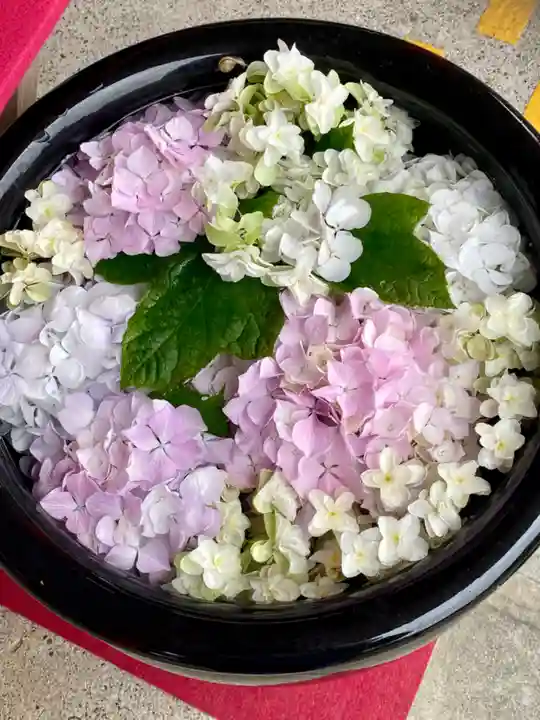 徳島眉山天神社の手水舎