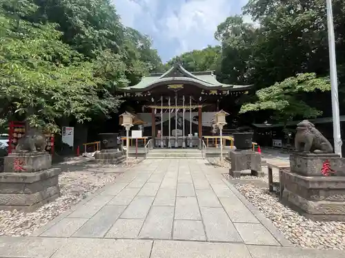 鎮守氷川神社(埼玉県)