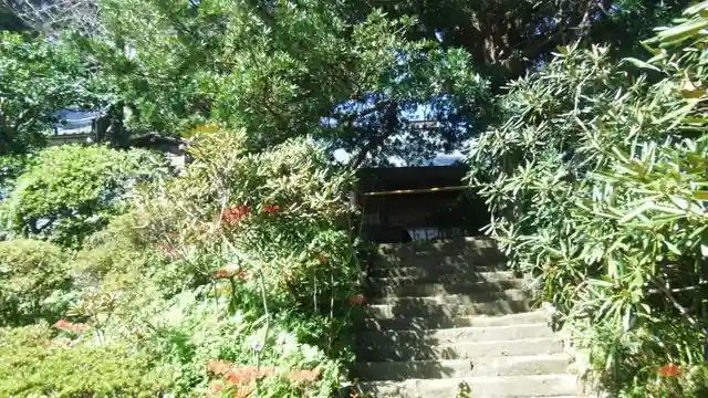 浄光明寺の自然