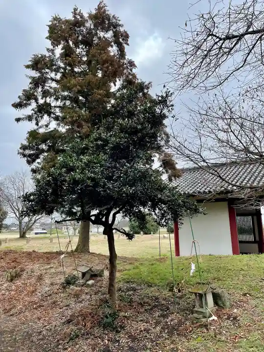 宮目神社(宮野辺神社)(栃木県)
